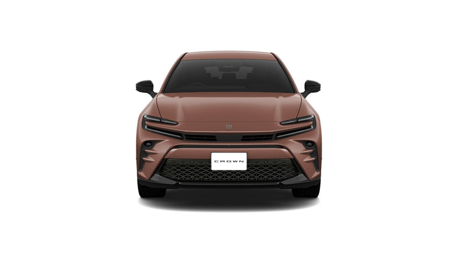 プレシャスブロンズ〈4Y6〉フロント