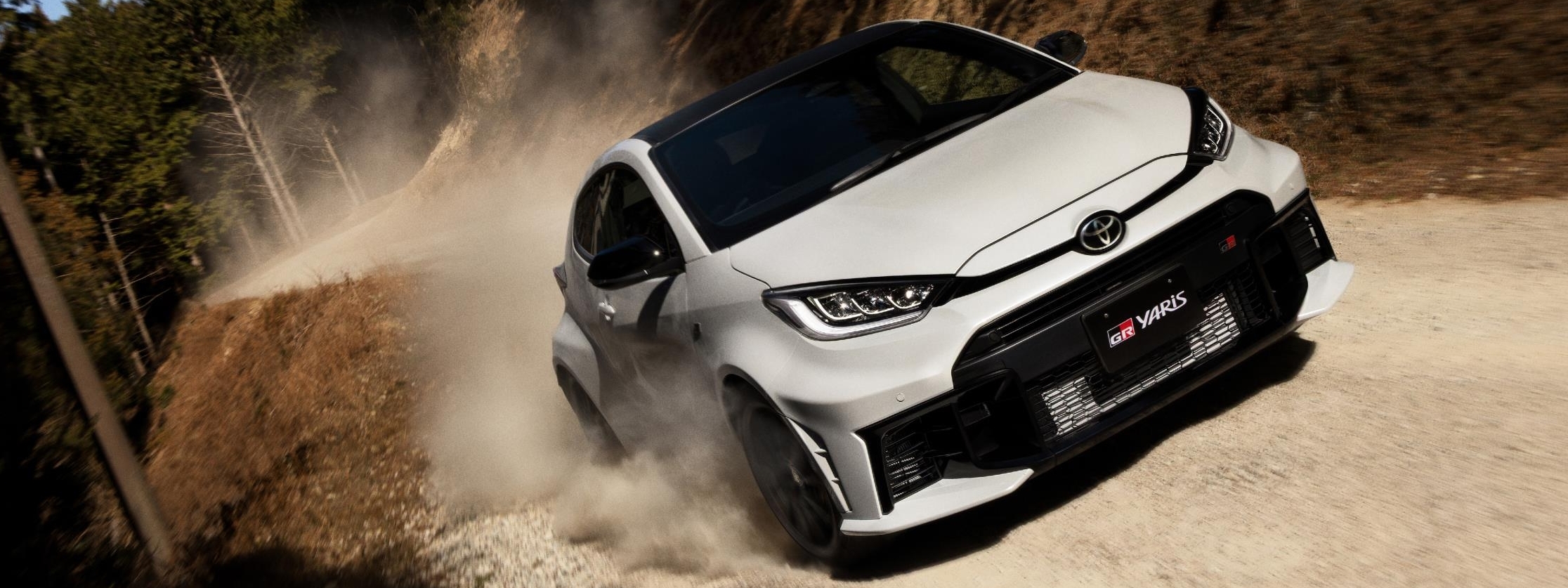 RZ“High performance”［GR-DAT（8AT・4WD）］